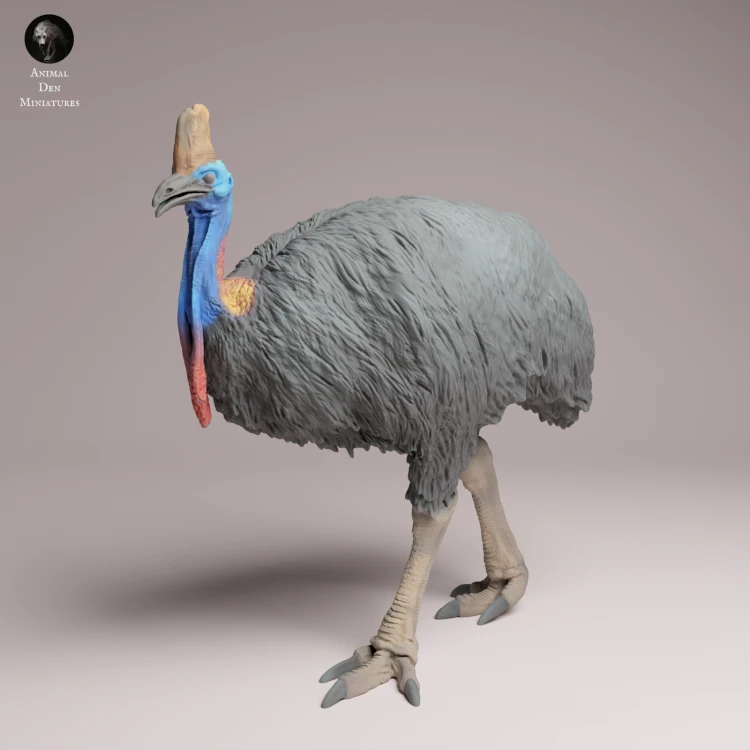 Southern Cassowary - 1.png