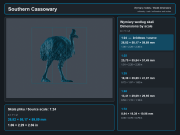 Southern Cassowary - 5.png