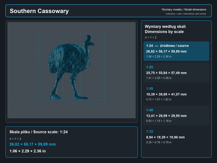 Southern Cassowary - 5.png