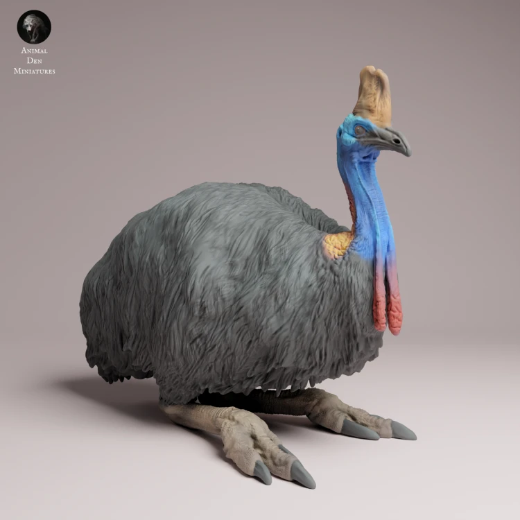 Southern Cassowary Lying - 1.png