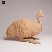Southern Cassowary Lying - 2.png