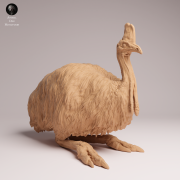 Southern Cassowary Lying - 3.png
