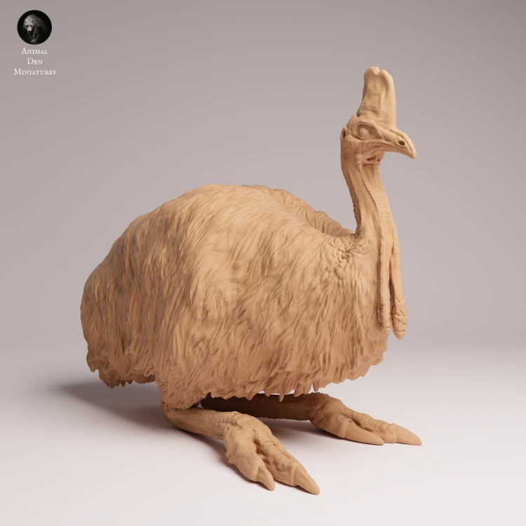 Southern Cassowary Lying - 3.png