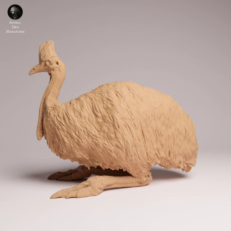 Southern Cassowary Lying - 4.png