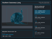 Southern Cassowary Lying - 5.png