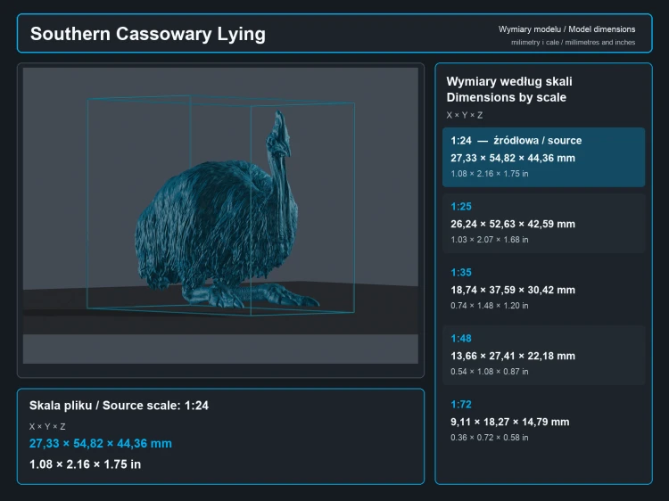 Southern Cassowary Lying - 5.png