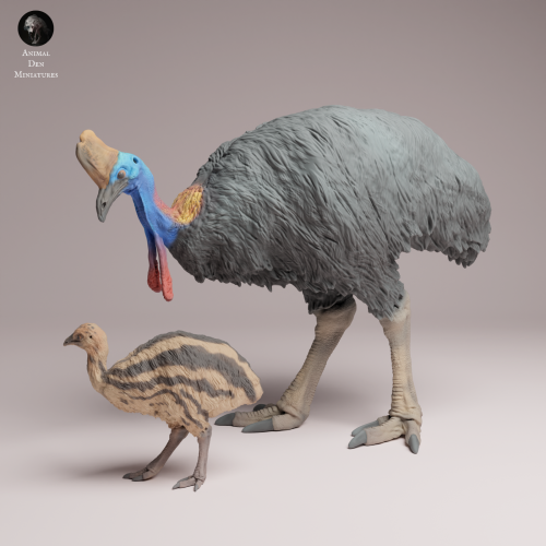 Southern Cassowary with Chick - 1.png