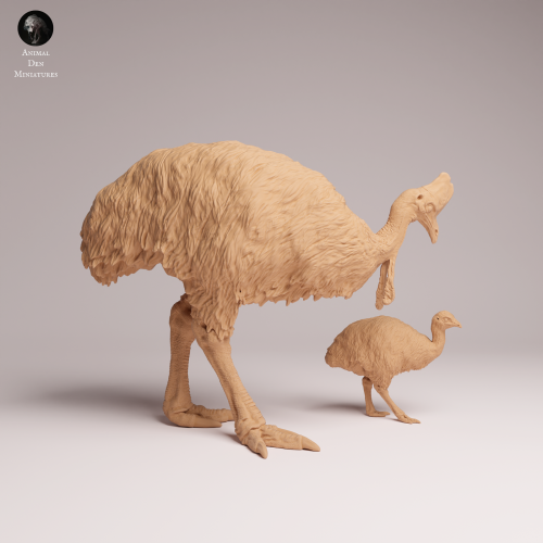 Southern Cassowary with Chick - 2.png
