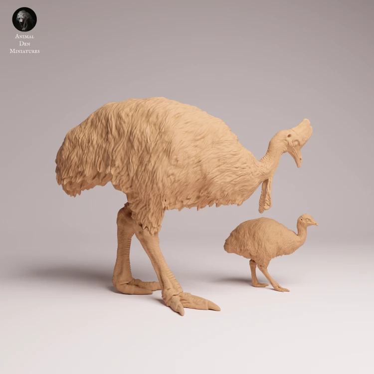Southern Cassowary with Chick - 2.png