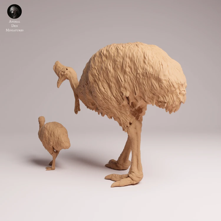 Southern Cassowary with Chick - 3.png