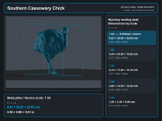 Southern Cassowary with Chick - 5.png