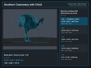 Southern Cassowary with Chick - 6.png