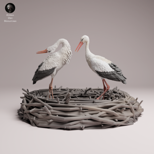 White Stork Courting - 1.png