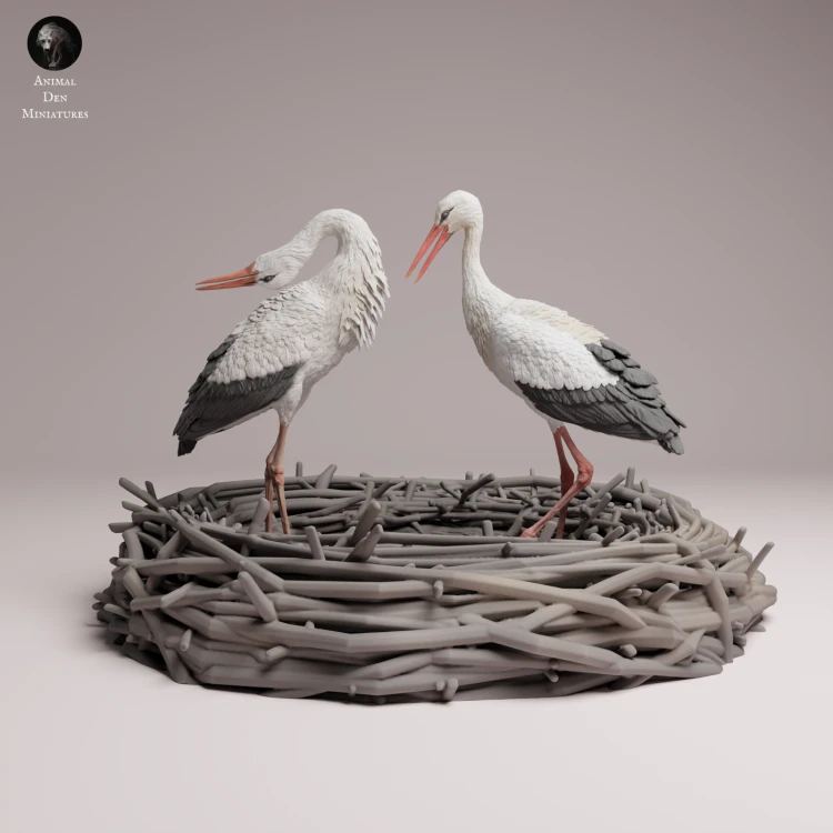 White Stork Courting - 1.png