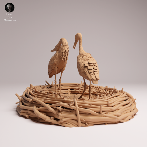 White Stork Courting - 2.png