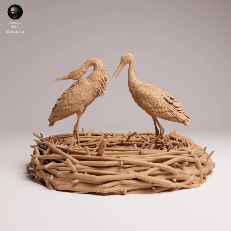 White Stork Courting - 4.png