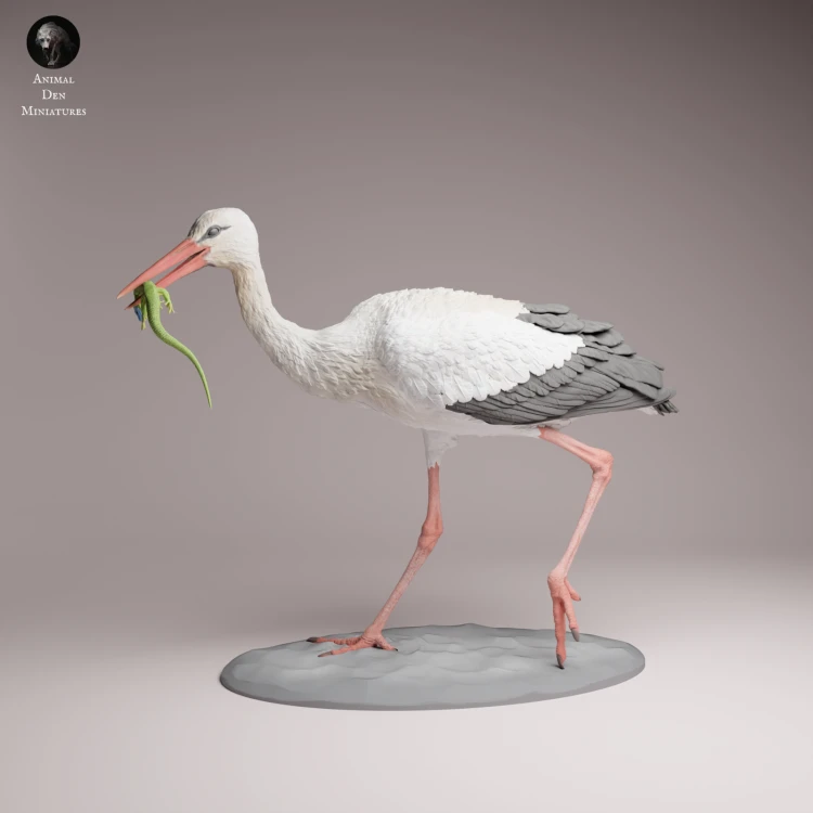 White Stork Eat - 1.png