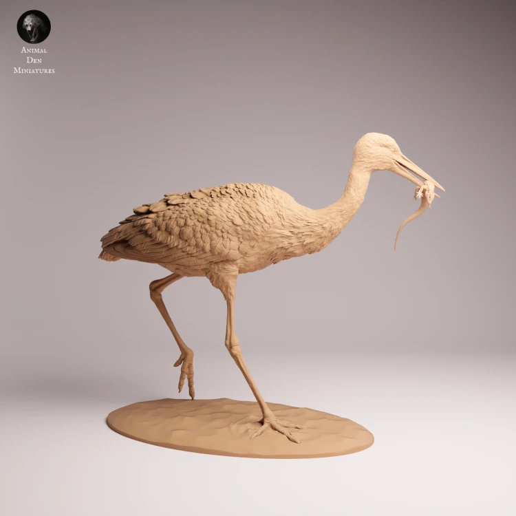 White Stork Eat - 2.png