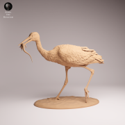White Stork Eat - 3.png