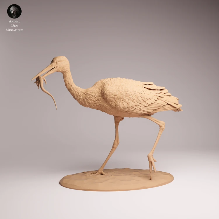 White Stork Eat - 3.png