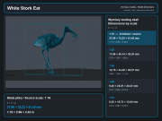 White Stork Eat - 6.png