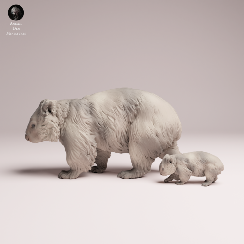 Common Wombat and Joey - 1.png