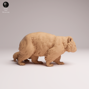 Common Wombat and Joey - 2.png