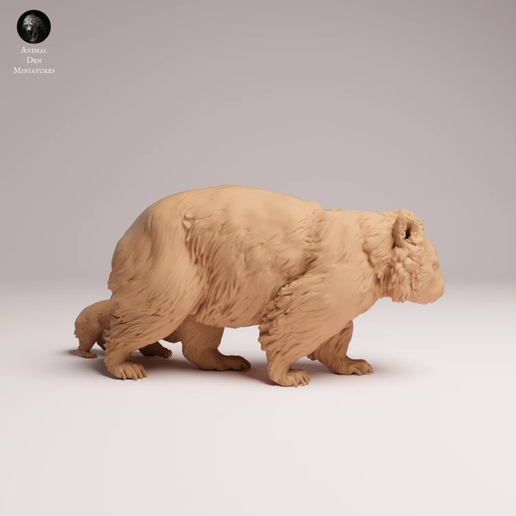Common Wombat and Joey - 2.png