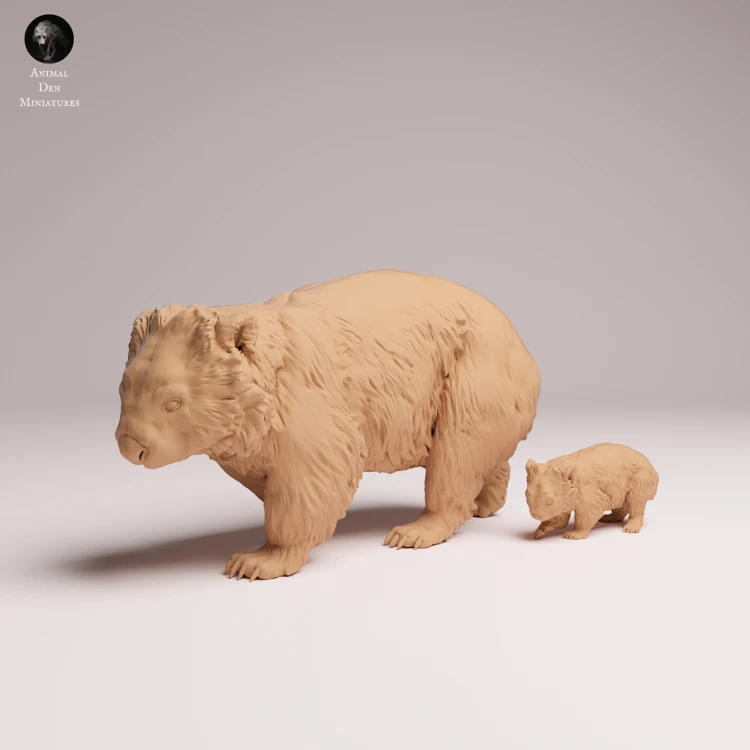 Common Wombat and Joey - 3.png
