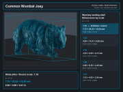 Common Wombat and Joey - 6.png