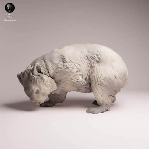 Common Wombat Scrathcing - 1.png