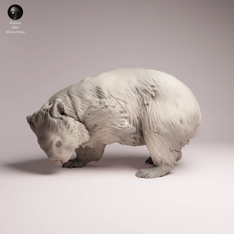 Common Wombat Scrathcing - 1.png