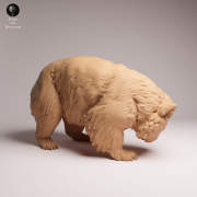 Common Wombat Scrathcing - 2.png