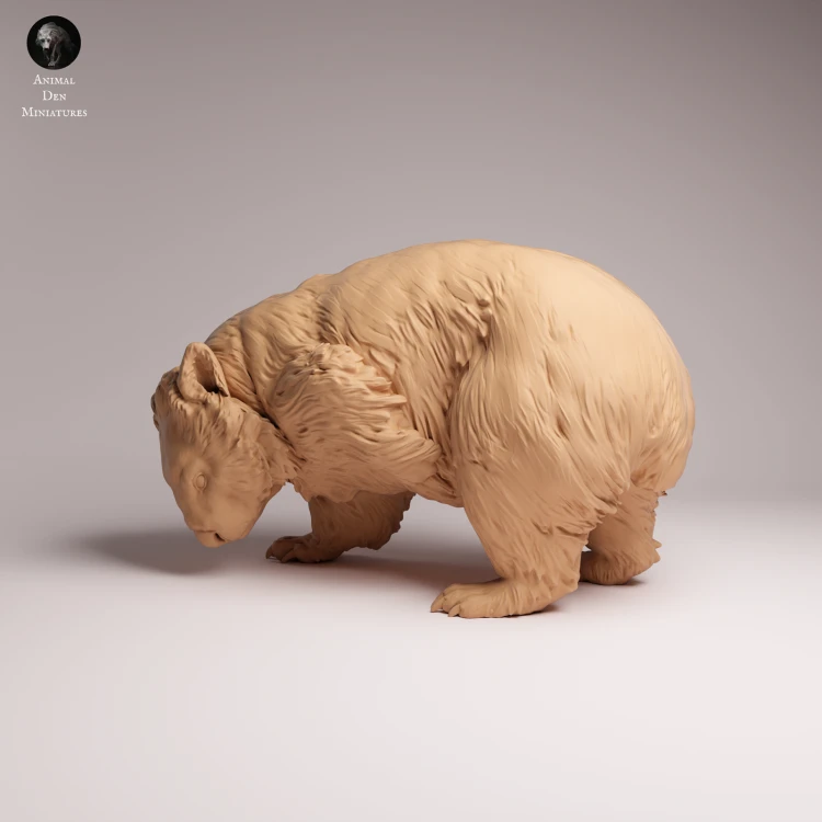 Common Wombat Scrathcing - 3.png