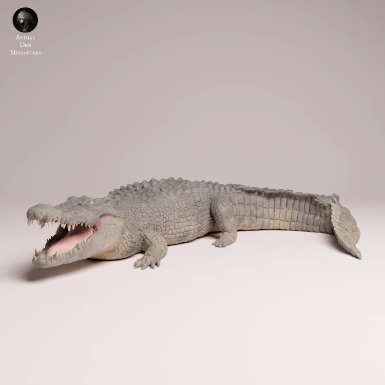 Saltwater Crocodile - 1.png