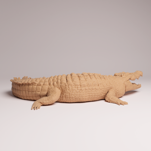 Saltwater Crocodile - 2.png