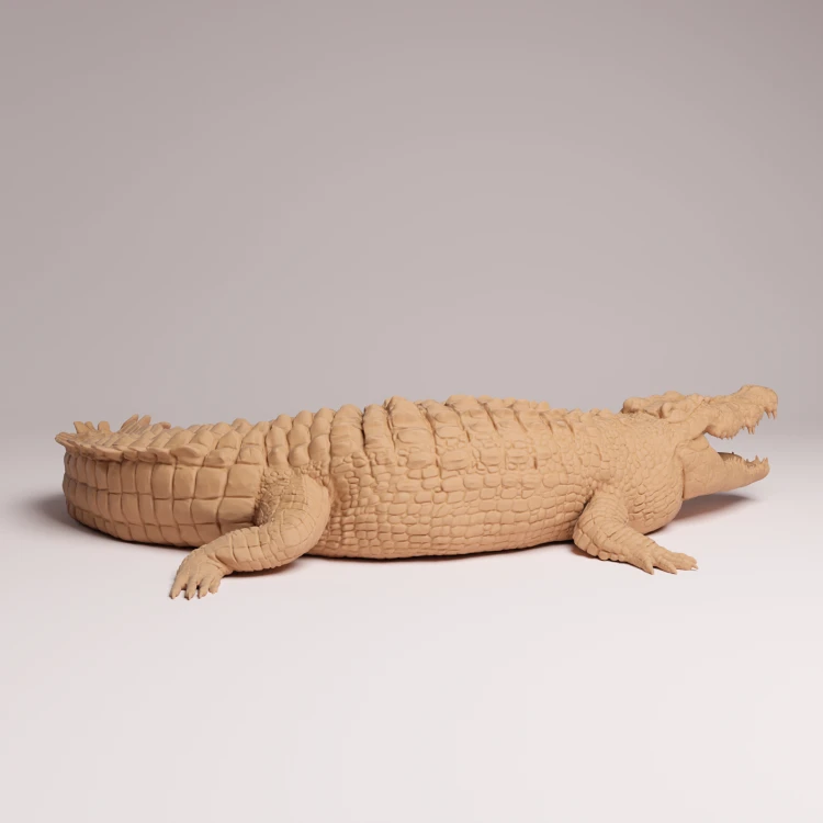 Saltwater Crocodile - 2.png