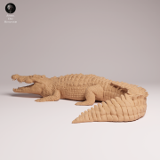 Saltwater Crocodile - 3.png