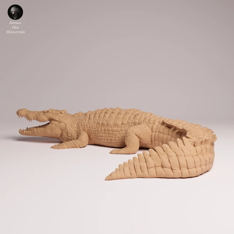 Saltwater Crocodile - 3.png