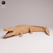 Saltwater Crocodile - 4.png