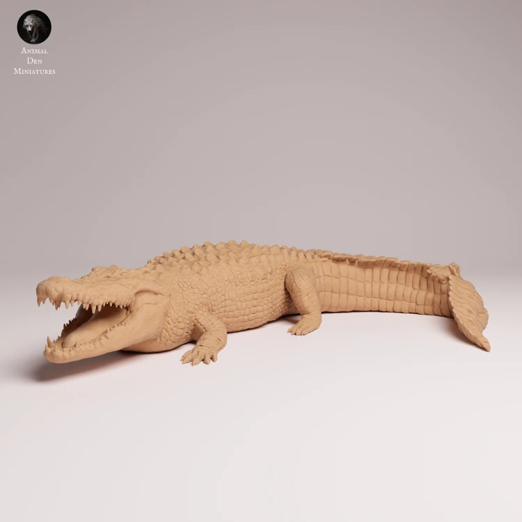 Saltwater Crocodile - 4.png