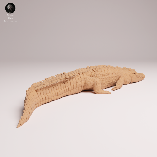 Saltwater Crocodile Lying - 2.png