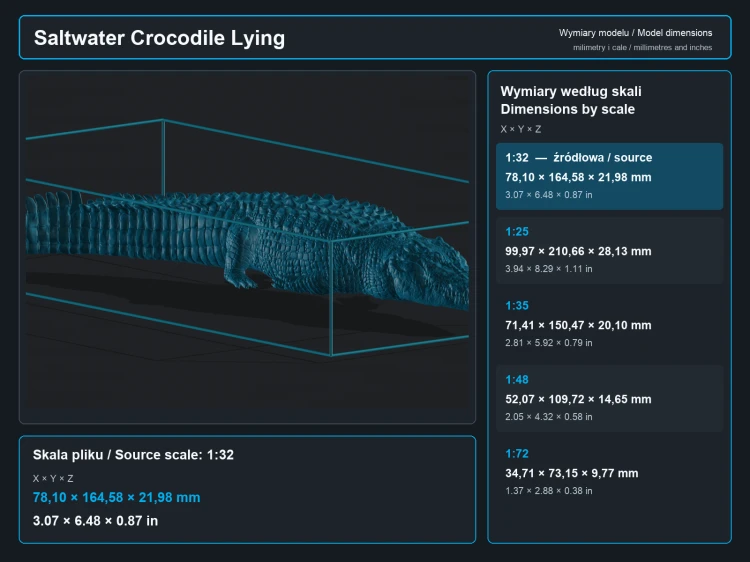 Saltwater Crocodile Lying - 5.png