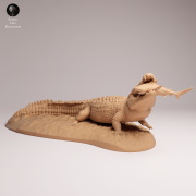 Saltwater Crocodile Prey - 4.png