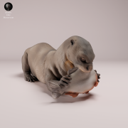 Giant Otter Eating - 1.png