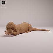 Giant Otter Eating - 4.png
