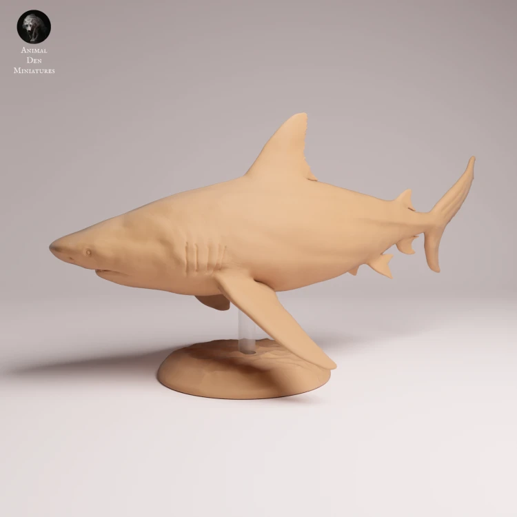Bull Shark - 1.png