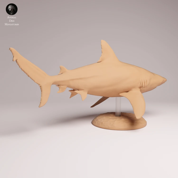 Bull Shark - 2.png