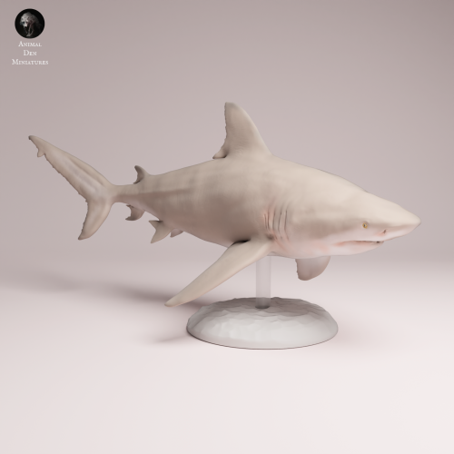 Bull Shark - 4.png