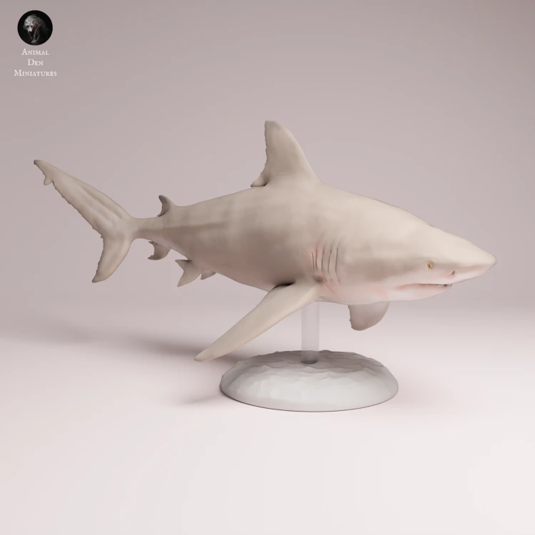 Bull Shark - 4.png